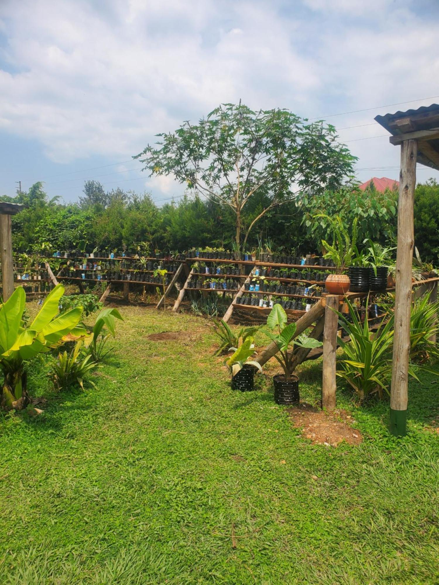 Gaia Eco Hub Bnb Fort Portal Exterior photo