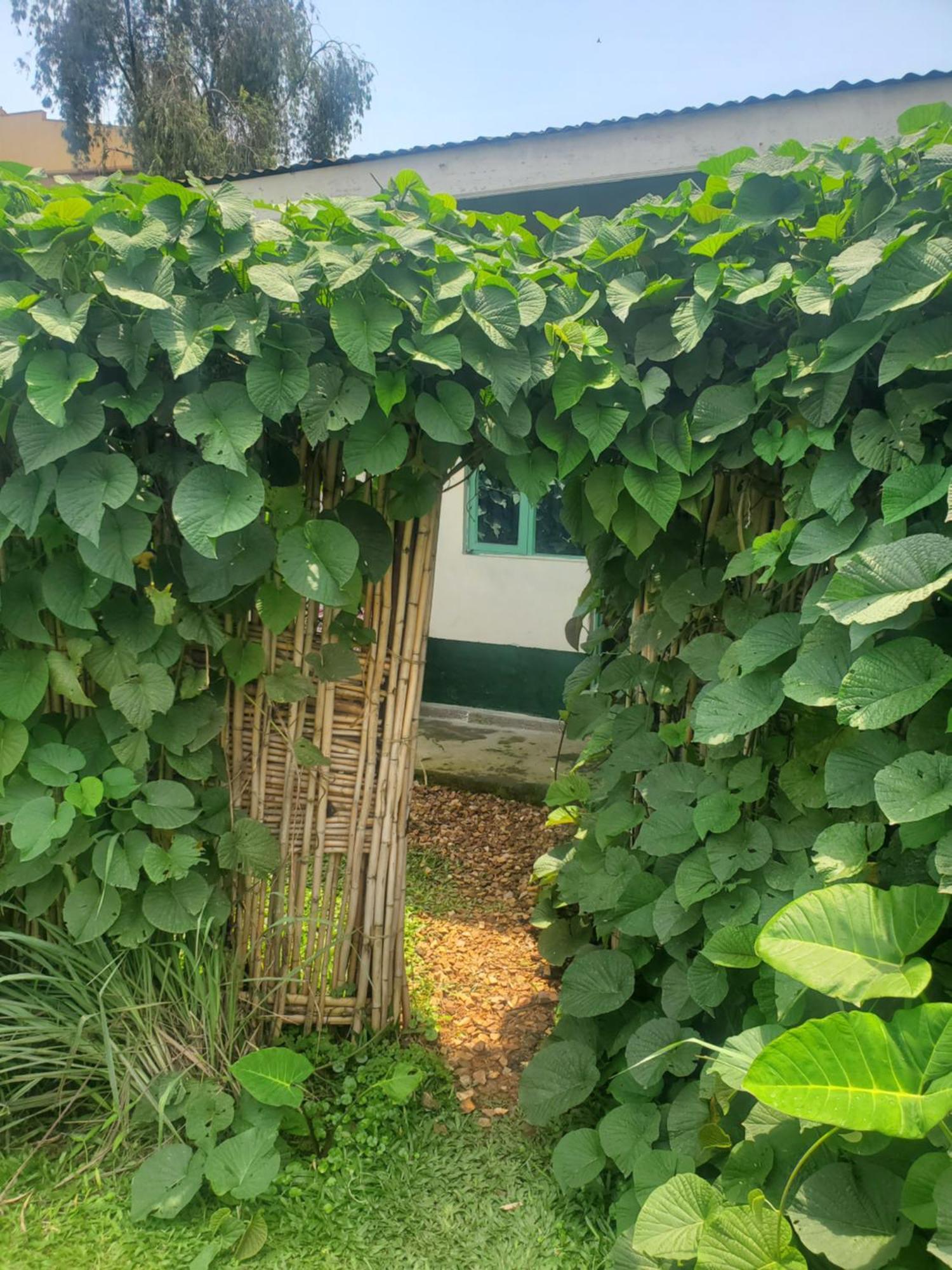 Gaia Eco Hub Bnb Fort Portal Exterior photo