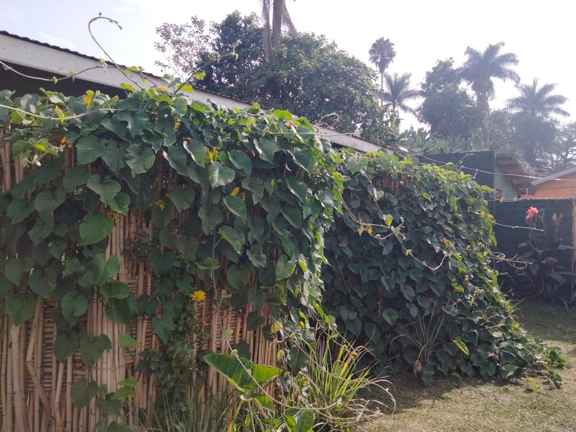 Gaia Eco Hub Bnb Fort Portal Exterior photo